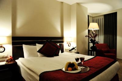 نیزا پارک اوتل