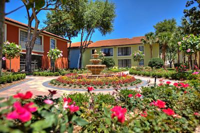 لگاسی واکیشن کلوب لاک بونا ویستا