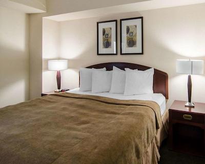 کوالیتی هتل رجینا