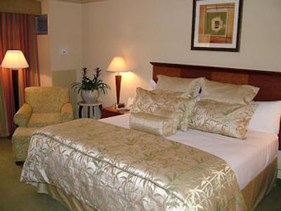 هلید این تامپا وستشر-آیرپرت اریا