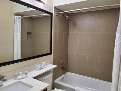 کمفرت این ترنتو نرد