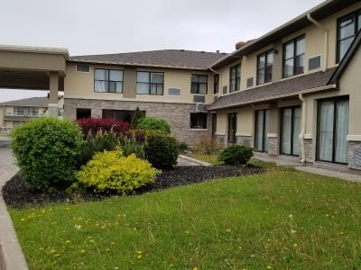 کمفرت این ترنتو نرد