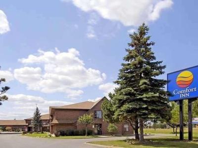 کمفرت این ترنتو نرد