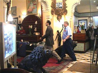 ترانساتلانتیک