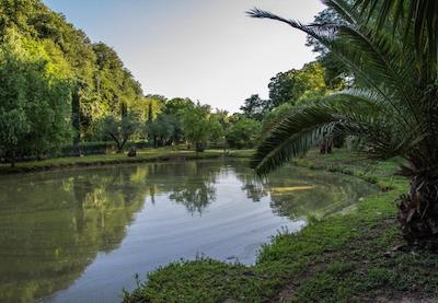 ویو رسیدنس ریزرت