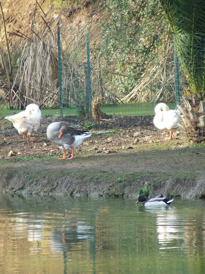 ویو رسیدنس ریزرت