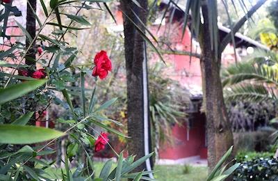 ویو رسیدنس ریزرت