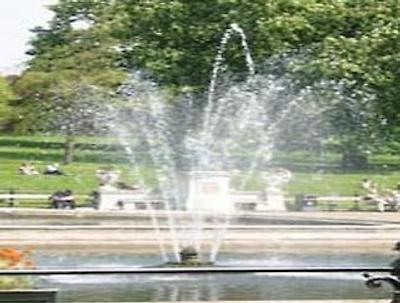 دز این هید پارک