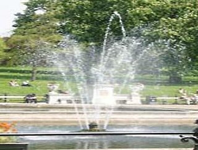 دز این هید پارک