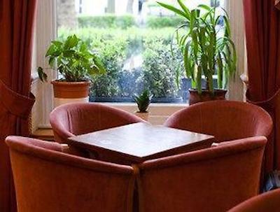 دز این هید پارک