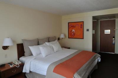 فیستا امریکانا رفرما