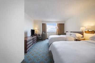 فیستا امریکانا رفرما