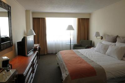 فیستا امریکانا رفرما