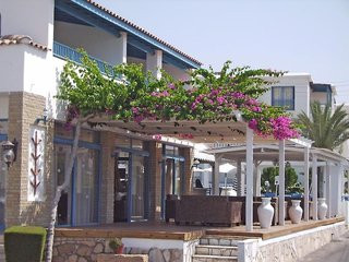 تاسماریا