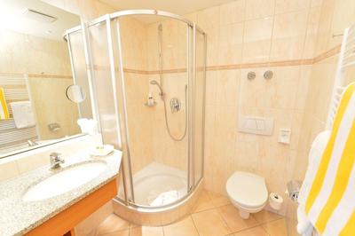 بست وسترن پلاس هتل آلپنهف