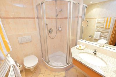 بست وسترن پلاس هتل آلپنهف