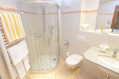 بست وسترن پلاس هتل آلپنهف