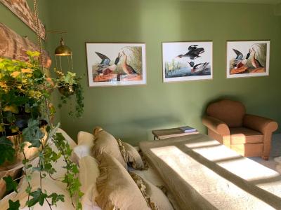 دمین د رابا