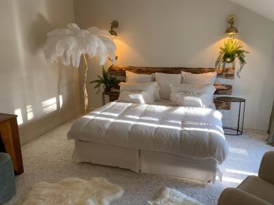 دمین د رابا