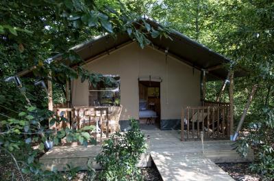 دمین د رابا