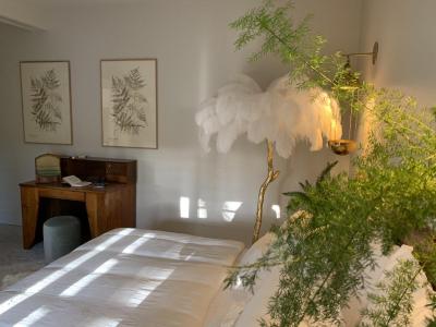 دمین د رابا