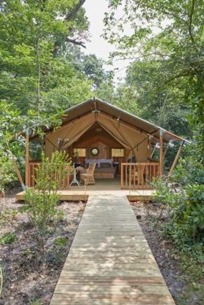 دمین د رابا