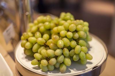 نووم هتل استریجوسکی ولفسبورگ