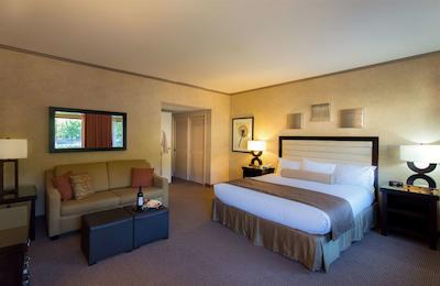 فلامینگو کنفرنس ریزرت اند اسپا