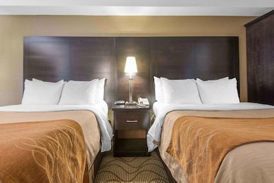 کمفرت این آیرپرت نرد ب