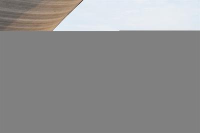 سافست پاسیگ د گرشیا