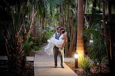 انگوری رینفرست ریزرت