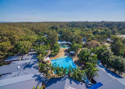 انگوری رینفرست ریزرت