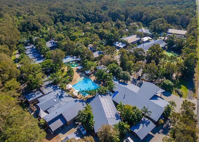 انگوری رینفرست ریزرت