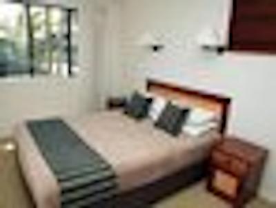 ایوری پالمز ریزرت