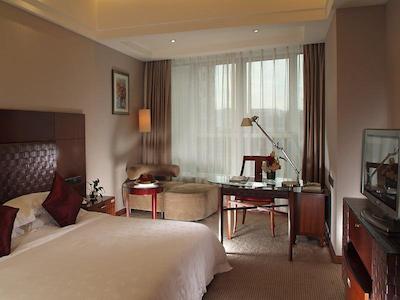 گراند اسکیلایت گاردن شنزهن