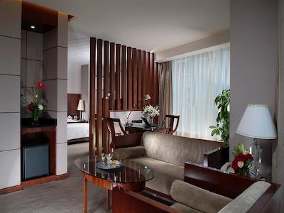 گراند اسکیلایت گاردن شنزهن