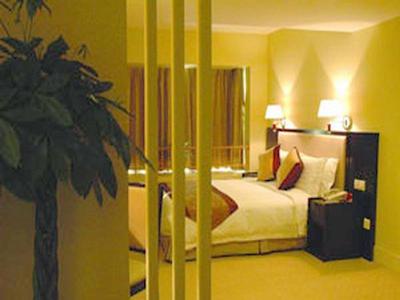 استاروی هتل هواد وانیوان شانگهای لوجیازوی