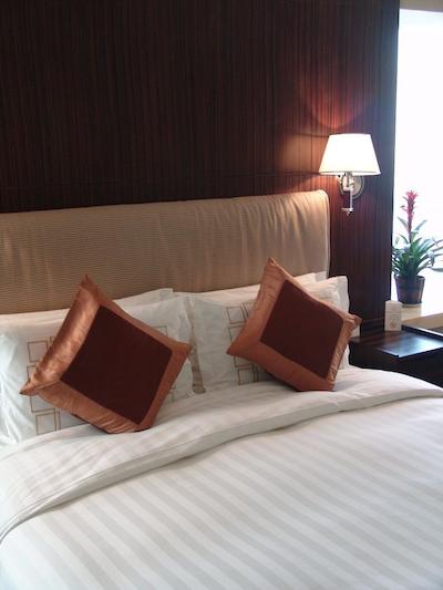 استاروی هتل هواد وانیوان شانگهای لوجیازوی