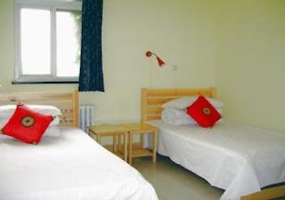 هپی دراگون ساگا یوت هاستل