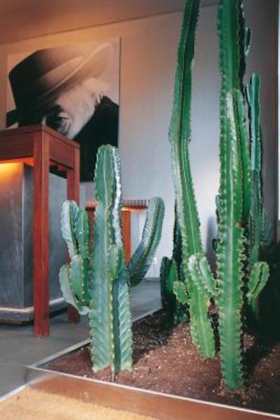 هپر هتل است انتونیوز