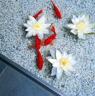 هپر هتل است انتونیوز