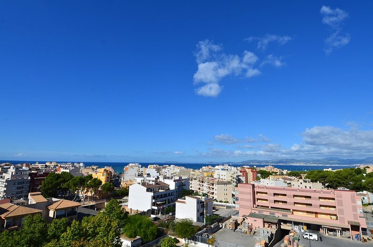 فرگوز جمینیز