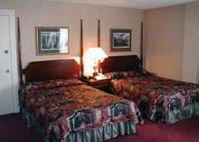 ایندیگو نو اُرلینز گاردن دیستریکت