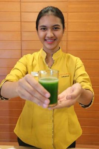 هریسُن ارکادیا مانگا دوا هتل