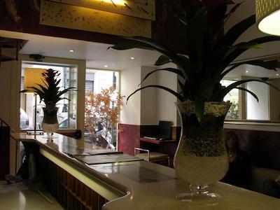 جیتو فلاویا