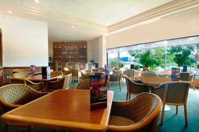 فیستا این تامپیکو