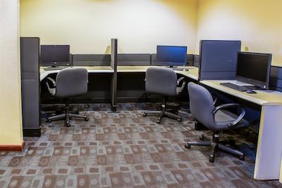 فیستا این تامپیکو