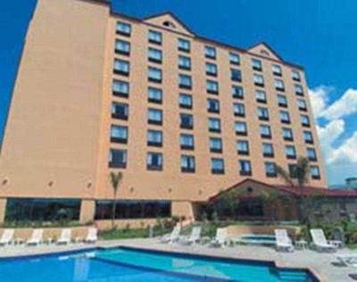 فیستا این تامپیکو