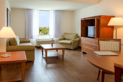 فیستا این تامپیکو