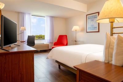 فیستا این تامپیکو